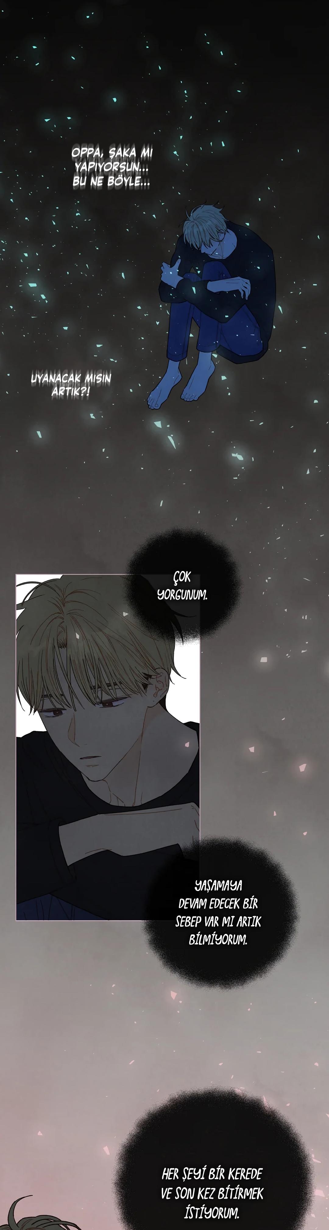 27-cm2xdfr0s0001tt82570od8ls
