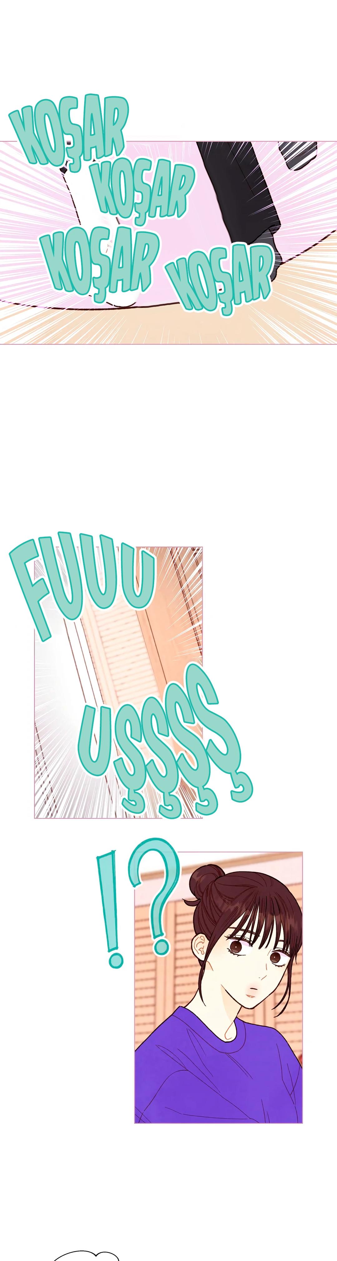 24-cm2xdfr0s0001tt82570od8ls
