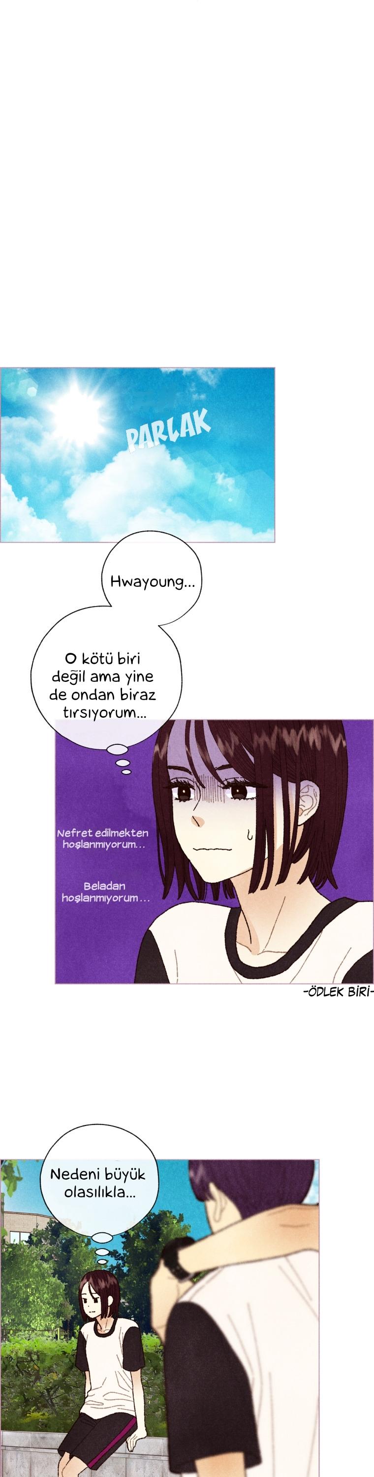 5-cm2xdfr0s0001tt82570od8ls