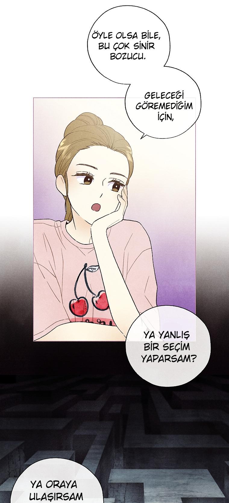 22-cm2xdfr0s0001tt82570od8ls