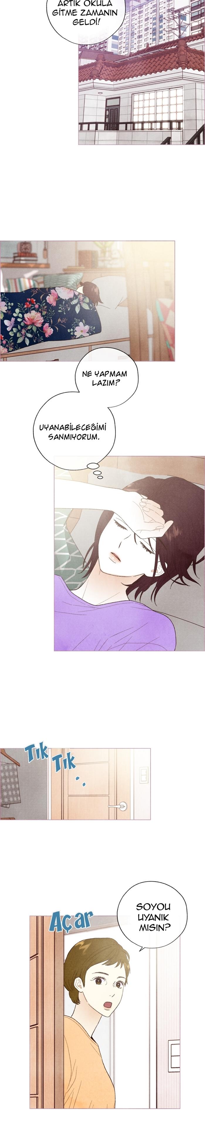 6-cm2xdfr0s0001tt82570od8ls