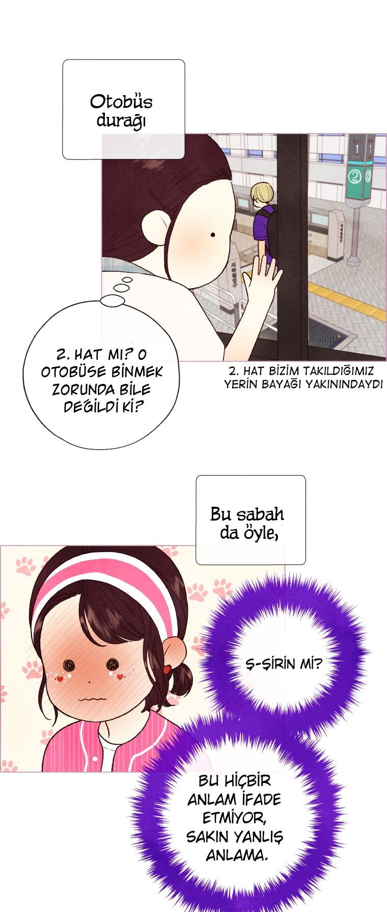 3-cm2xdfr0s0001tt82570od8ls
