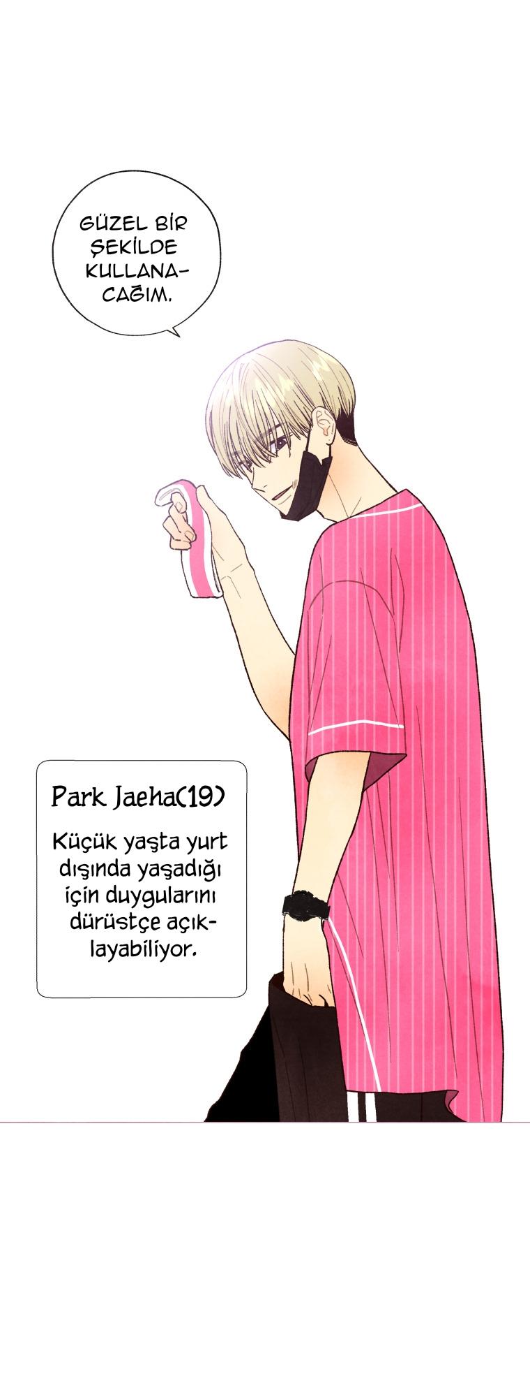24-cm2xdfr0s0001tt82570od8ls