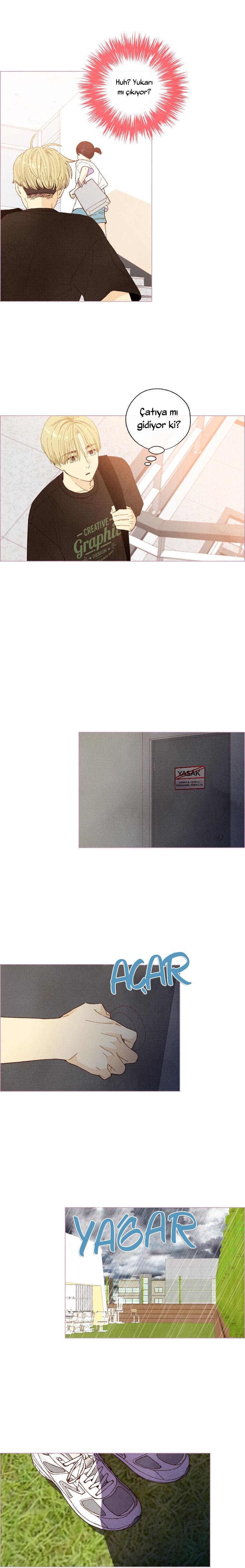 10-cm2xdfr0s0001tt82570od8ls