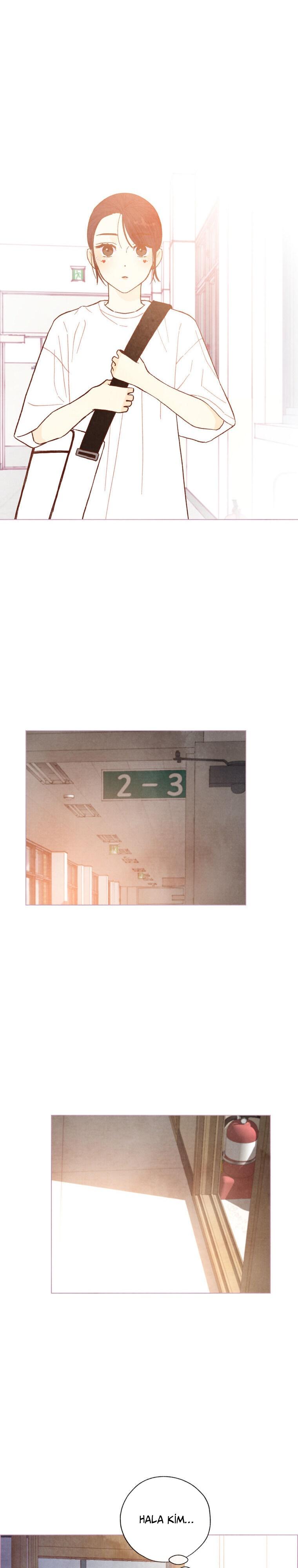 14-cm2xdfr0s0001tt82570od8ls