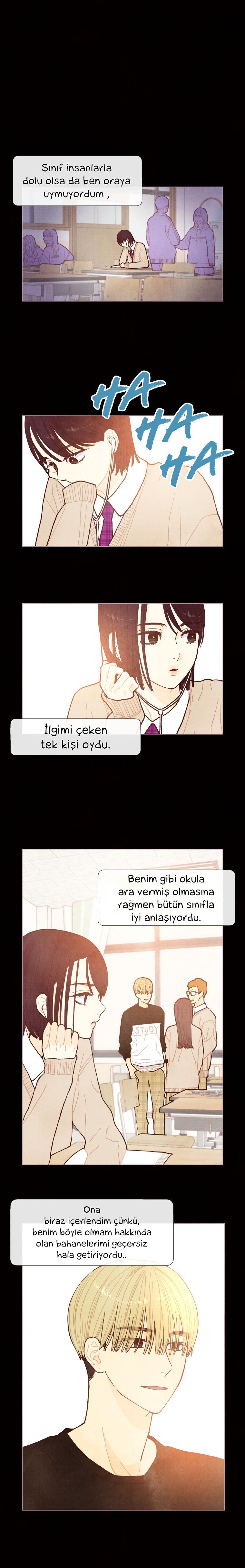 3-cm2xdfr0s0001tt82570od8ls