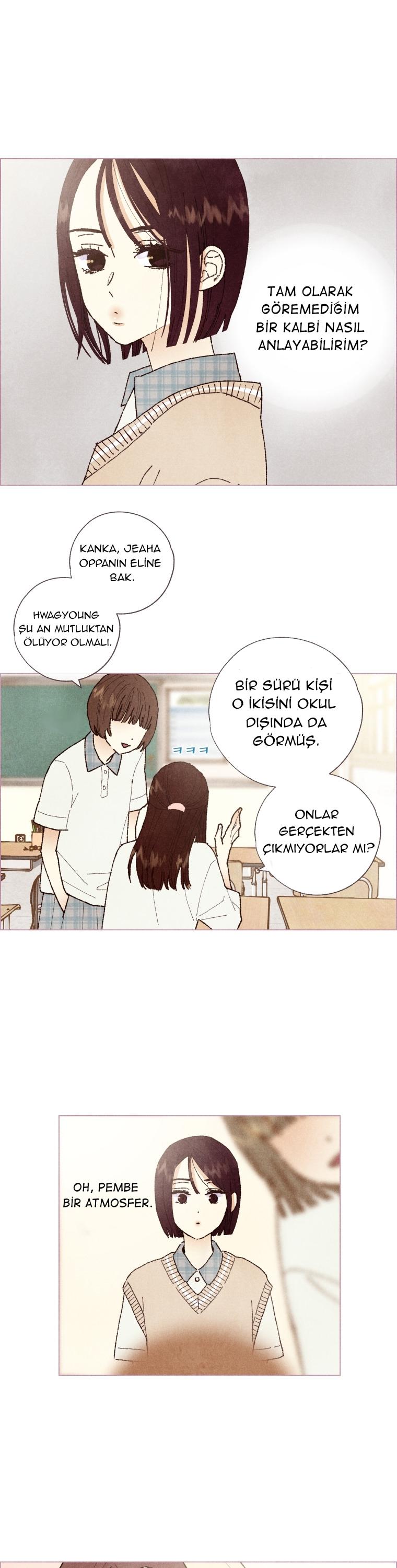 4-cm2xdfr0s0001tt82570od8ls