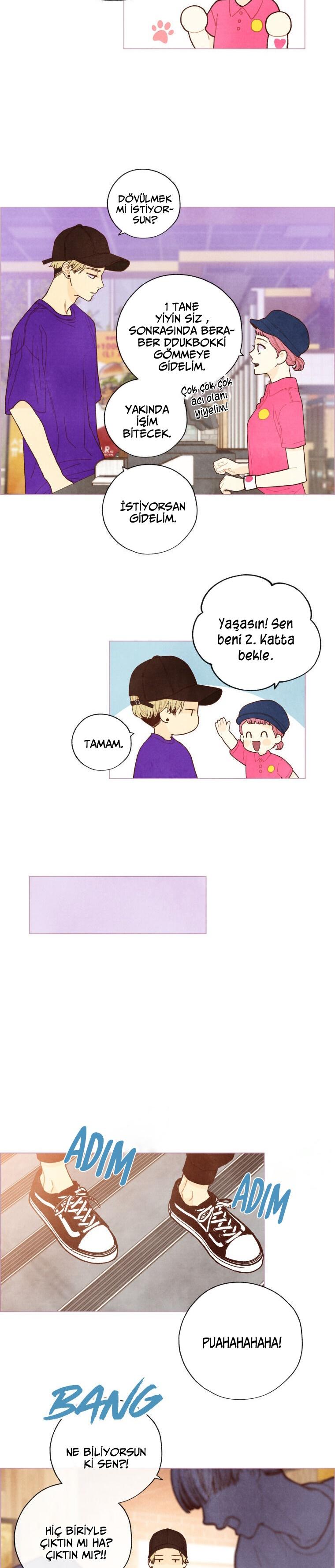17-cm2xdfr0s0001tt82570od8ls