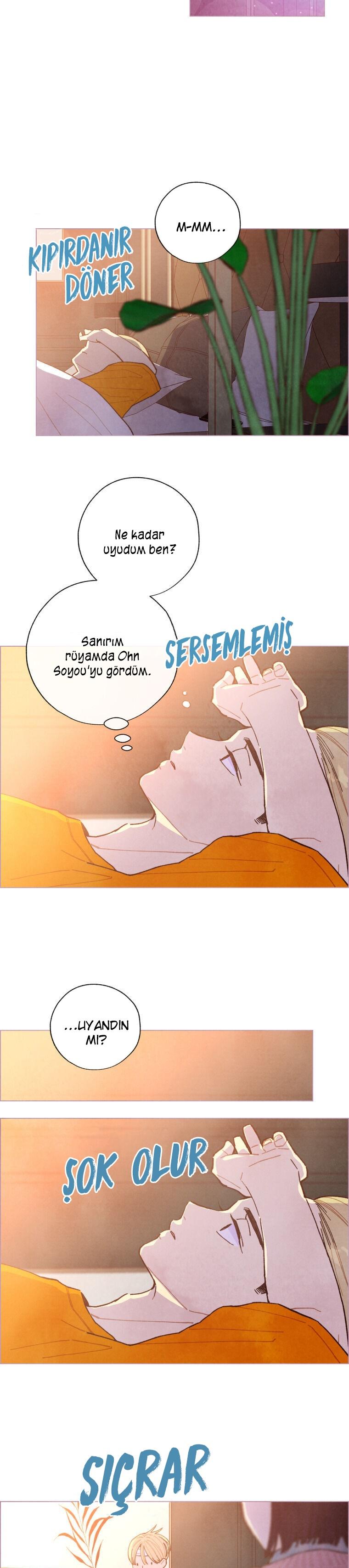 13-cm2xdfr0s0001tt82570od8ls