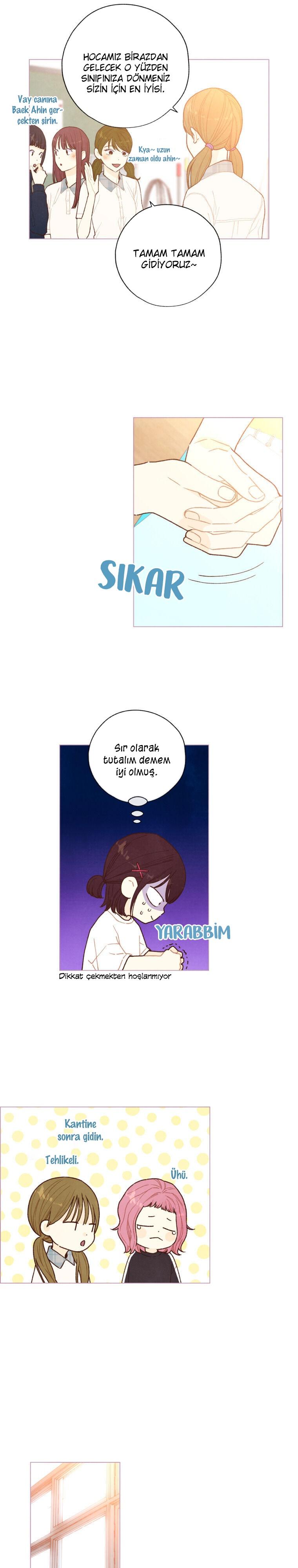 12-cm2xdfr0s0001tt82570od8ls