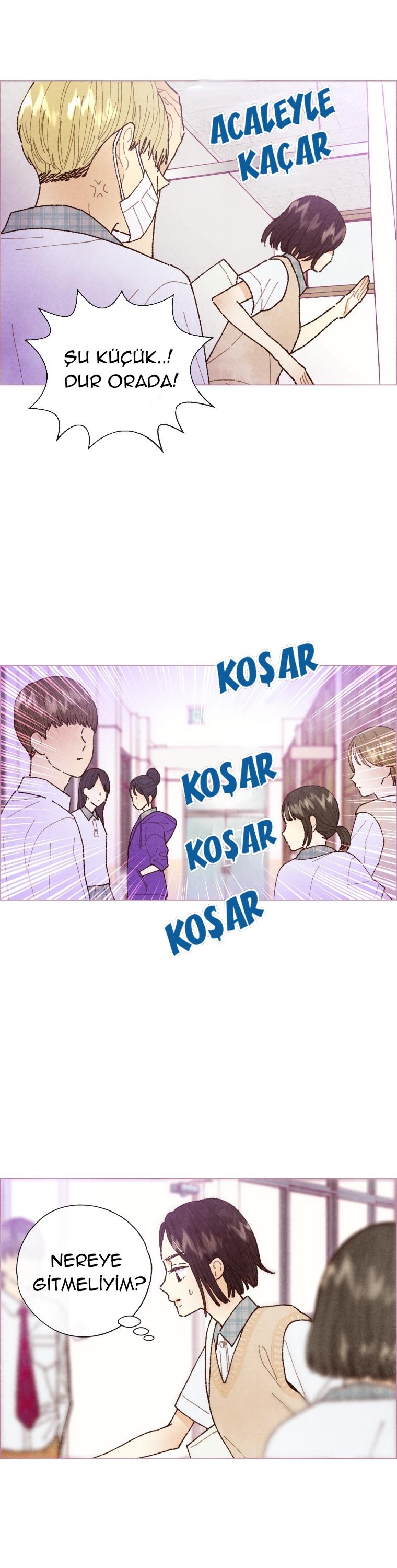 16-cm2xdfr0s0001tt82570od8ls