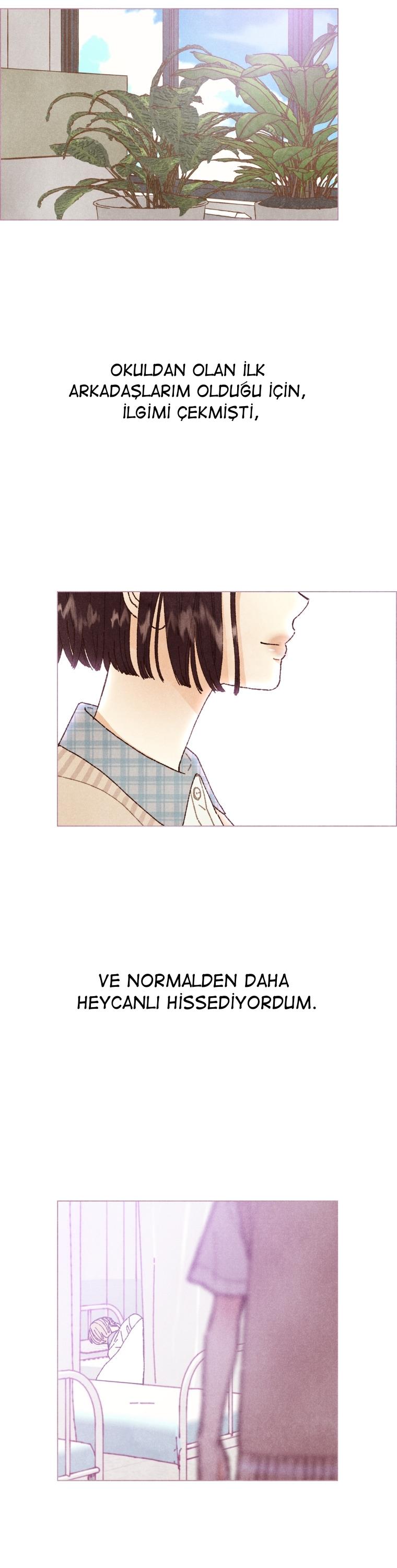 8-cm2xdfr0s0001tt82570od8ls