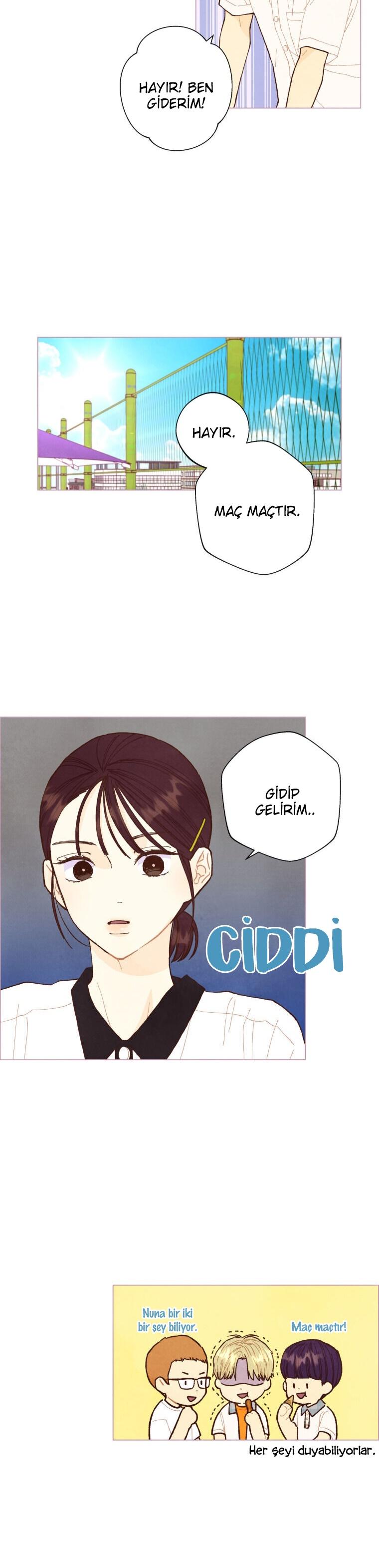 17-cm2xdfr0s0001tt82570od8ls