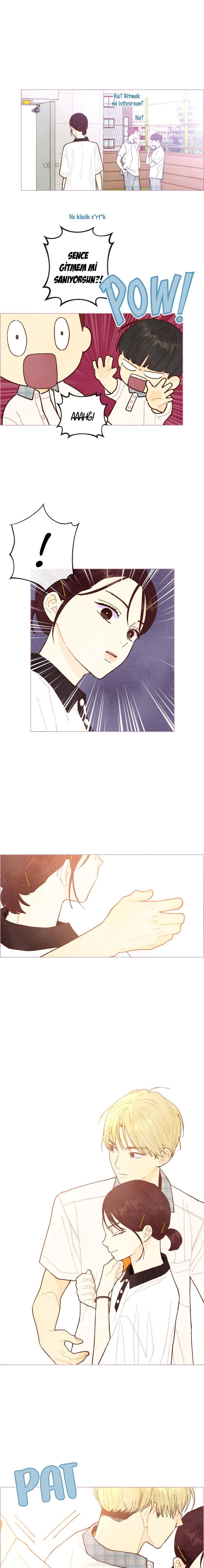 4-cm2xdfr0s0001tt82570od8ls