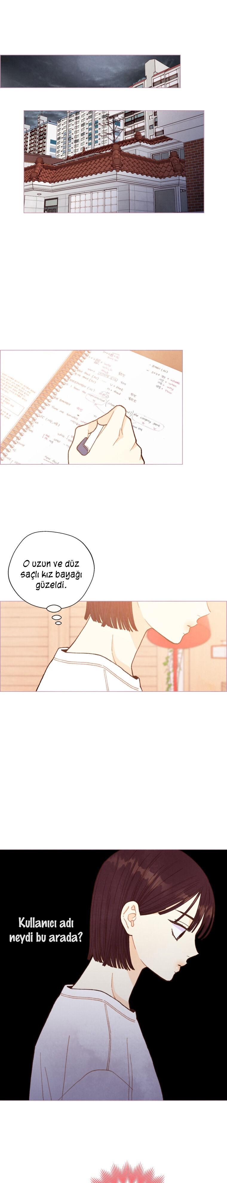 12-cm2xdfr0s0001tt82570od8ls
