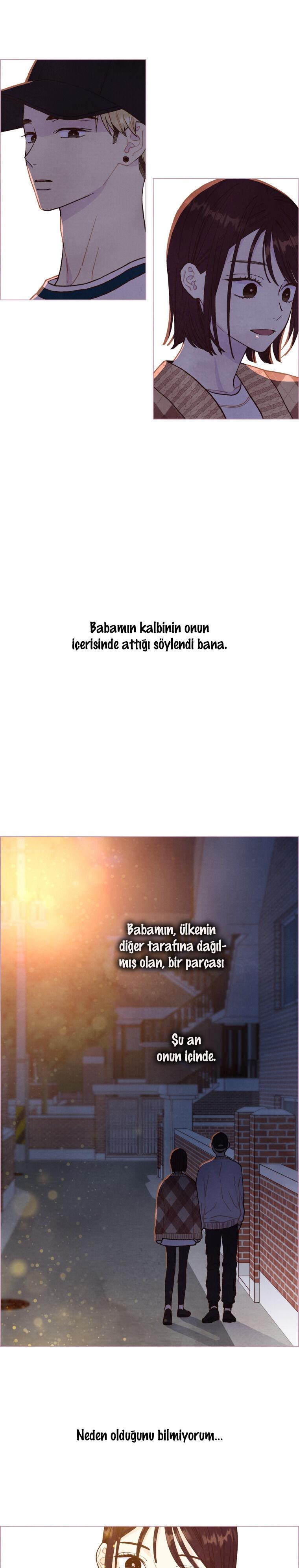 2-cm2xdfr0s0001tt82570od8ls