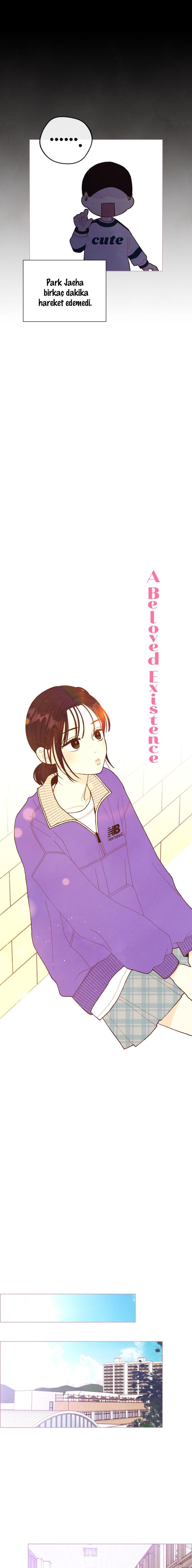 10-cm2xdfr0s0001tt82570od8ls