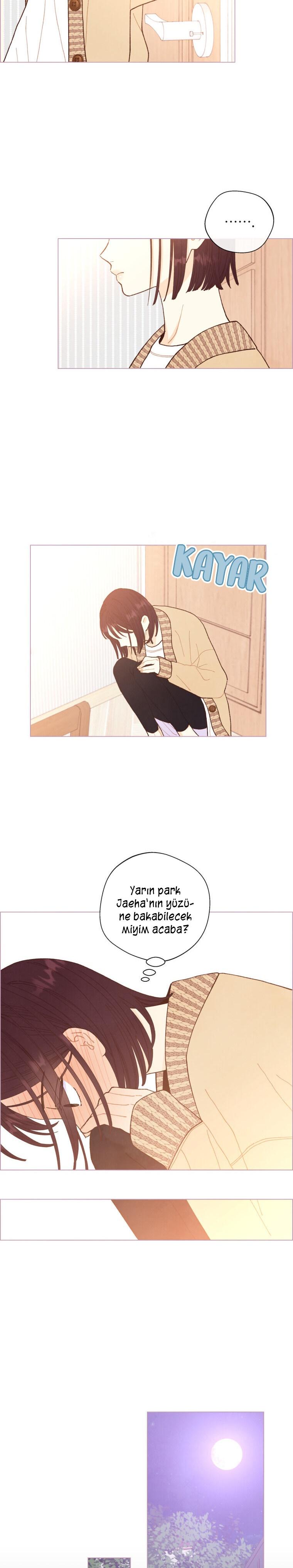 5-cm2xdfr0s0001tt82570od8ls