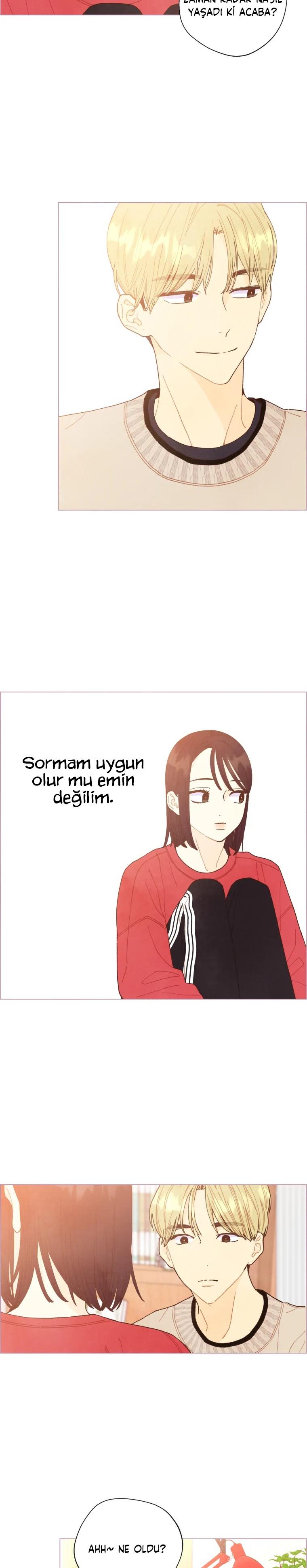 4-cm2xdfr0s0001tt82570od8ls