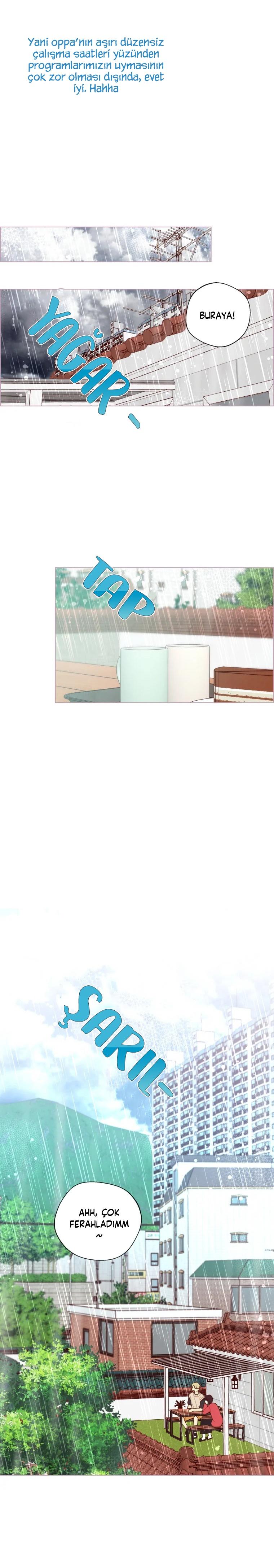 13-cm2xdfr0s0001tt82570od8ls