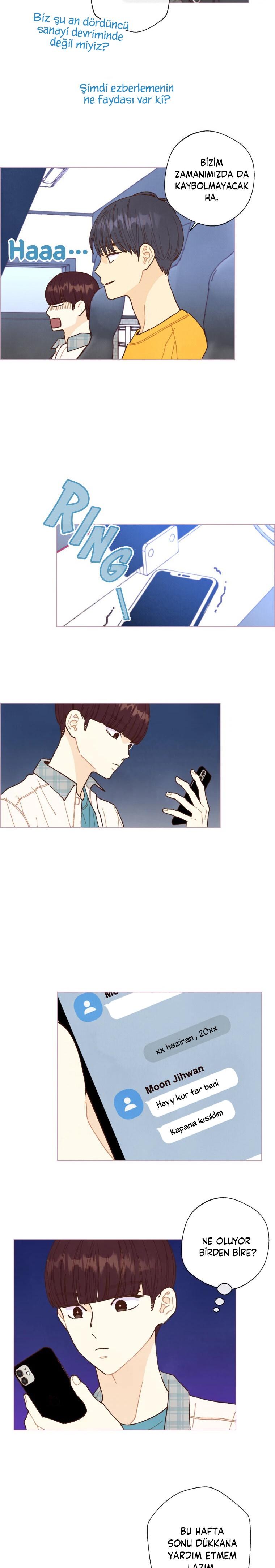 13-cm2xdfr0s0001tt82570od8ls