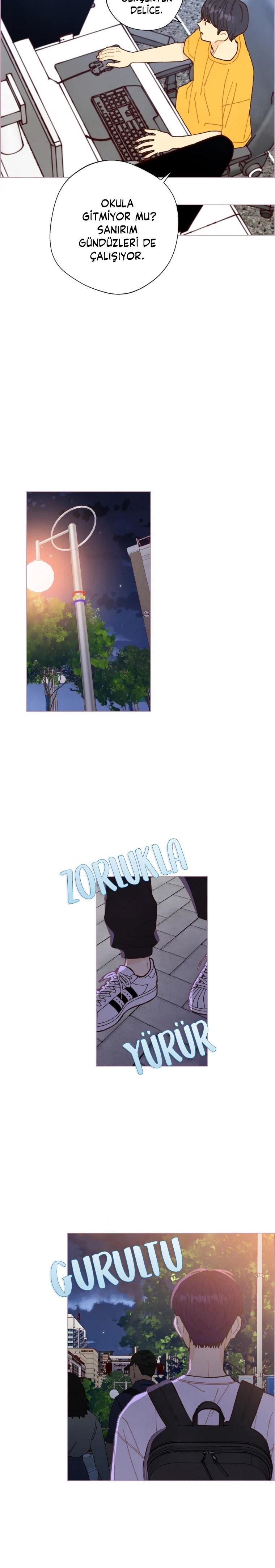 15-cm2xdfr0s0001tt82570od8ls