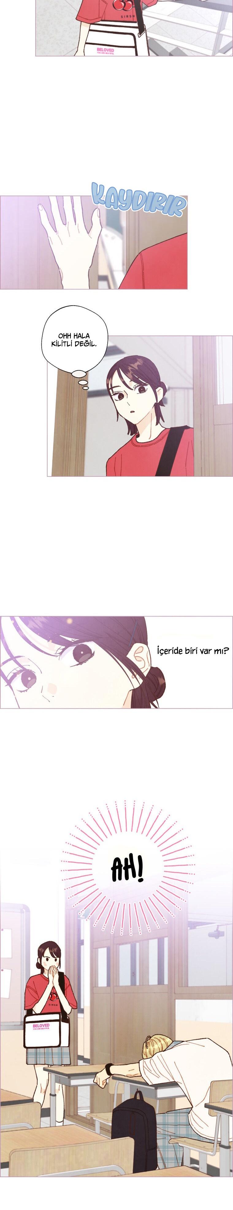 7-cm2xdfr0s0001tt82570od8ls