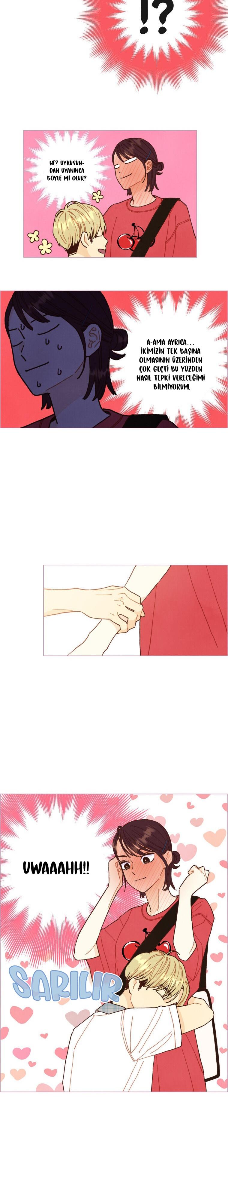 9-cm2xdfr0s0001tt82570od8ls
