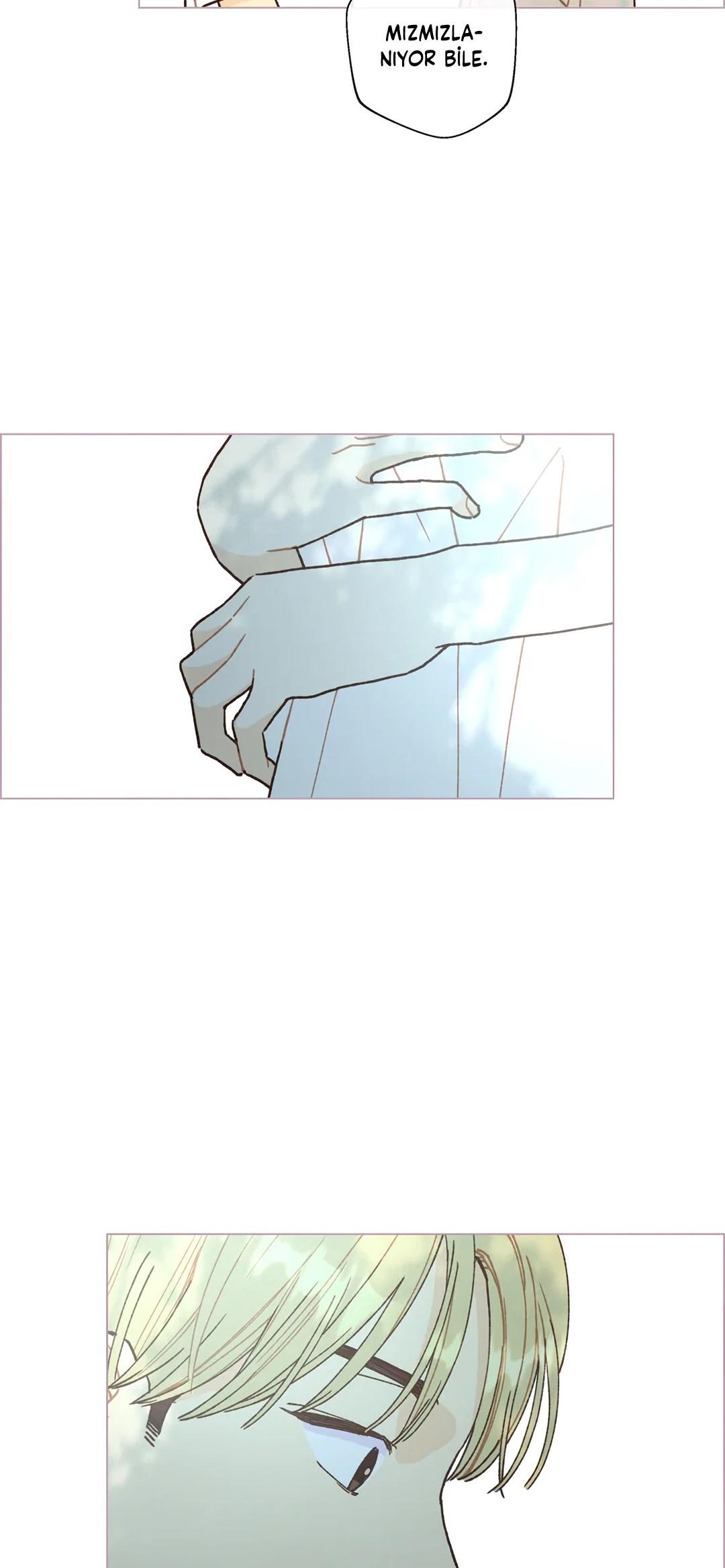 48-cm2xdfr0s0001tt82570od8ls
