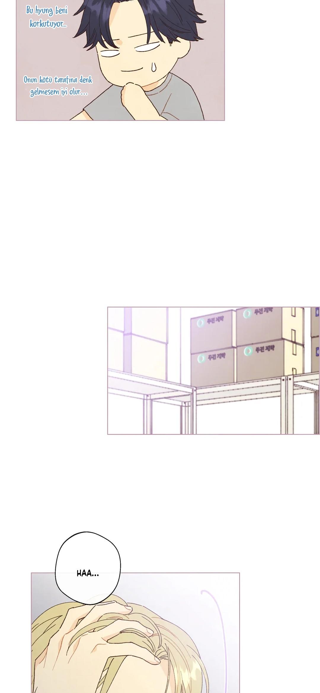 6-cm2xdfr0s0001tt82570od8ls