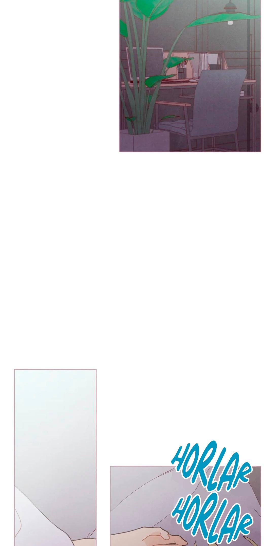 12-cm2xdfr0s0001tt82570od8ls
