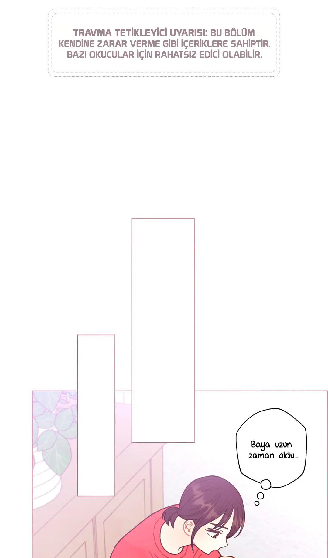 2-cm2xdfr0s0001tt82570od8ls