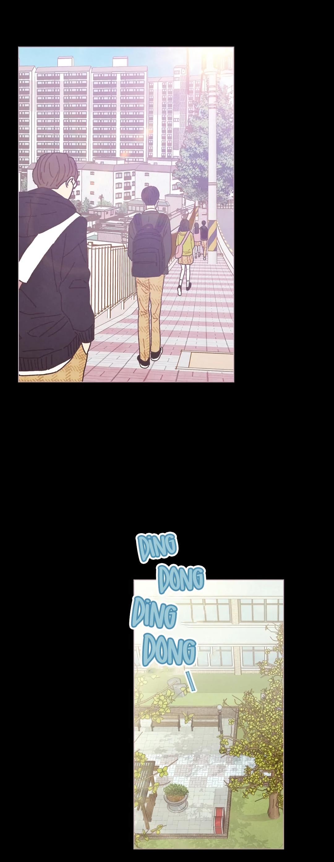 24-cm2xdfr0s0001tt82570od8ls