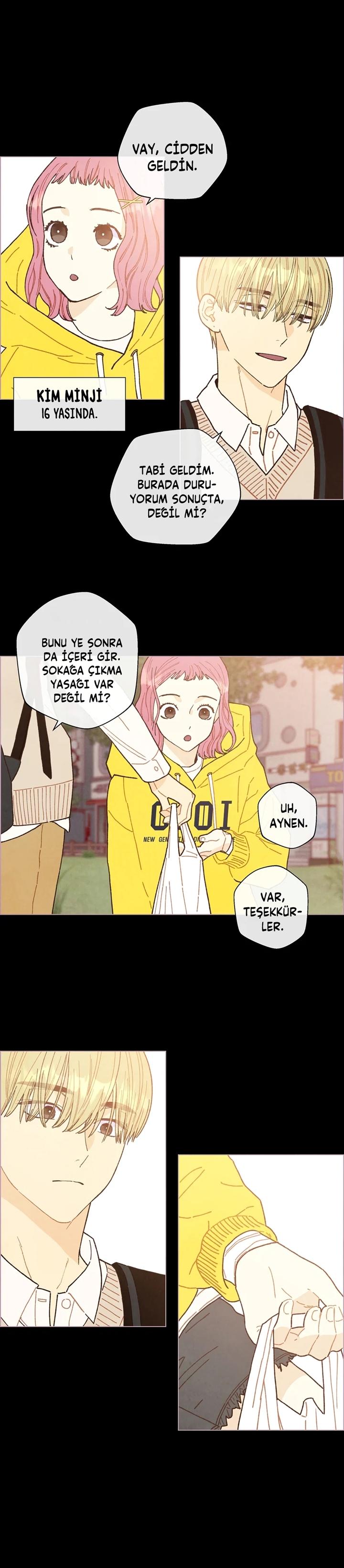 3-cm2xdfr0s0001tt82570od8ls