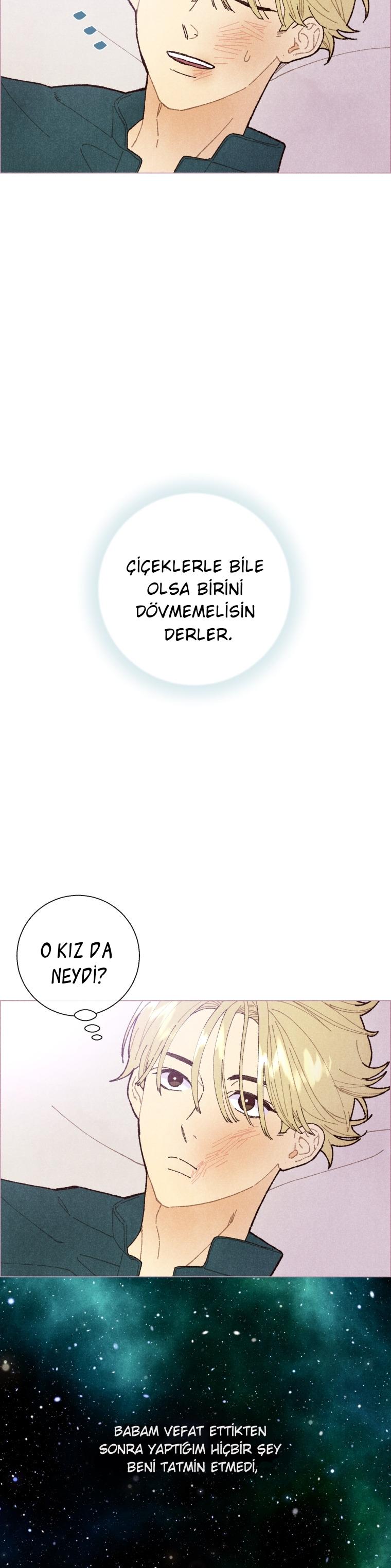 13-cm2xdfr0s0001tt82570od8ls