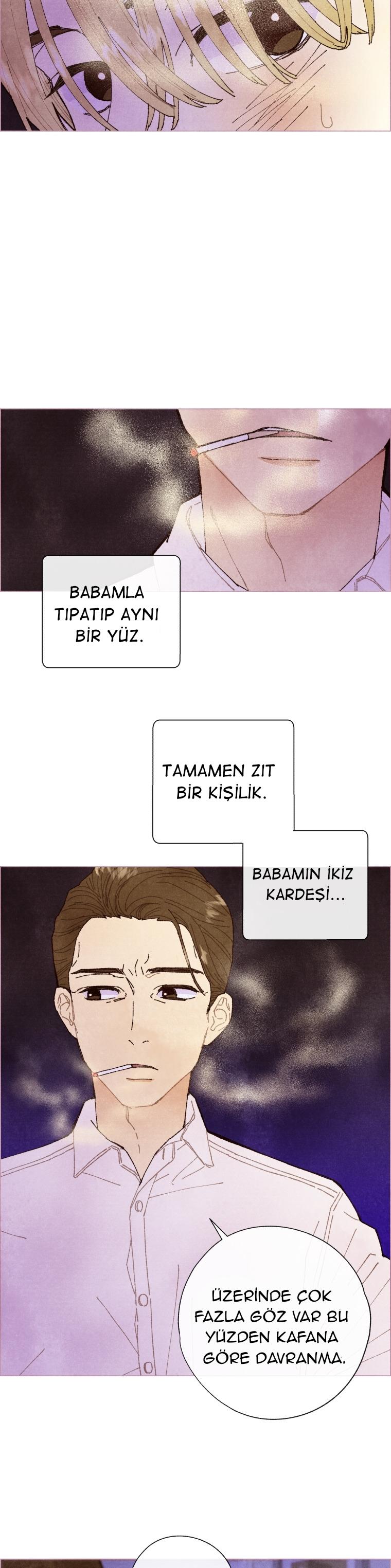 3-cm2xdfr0s0001tt82570od8ls