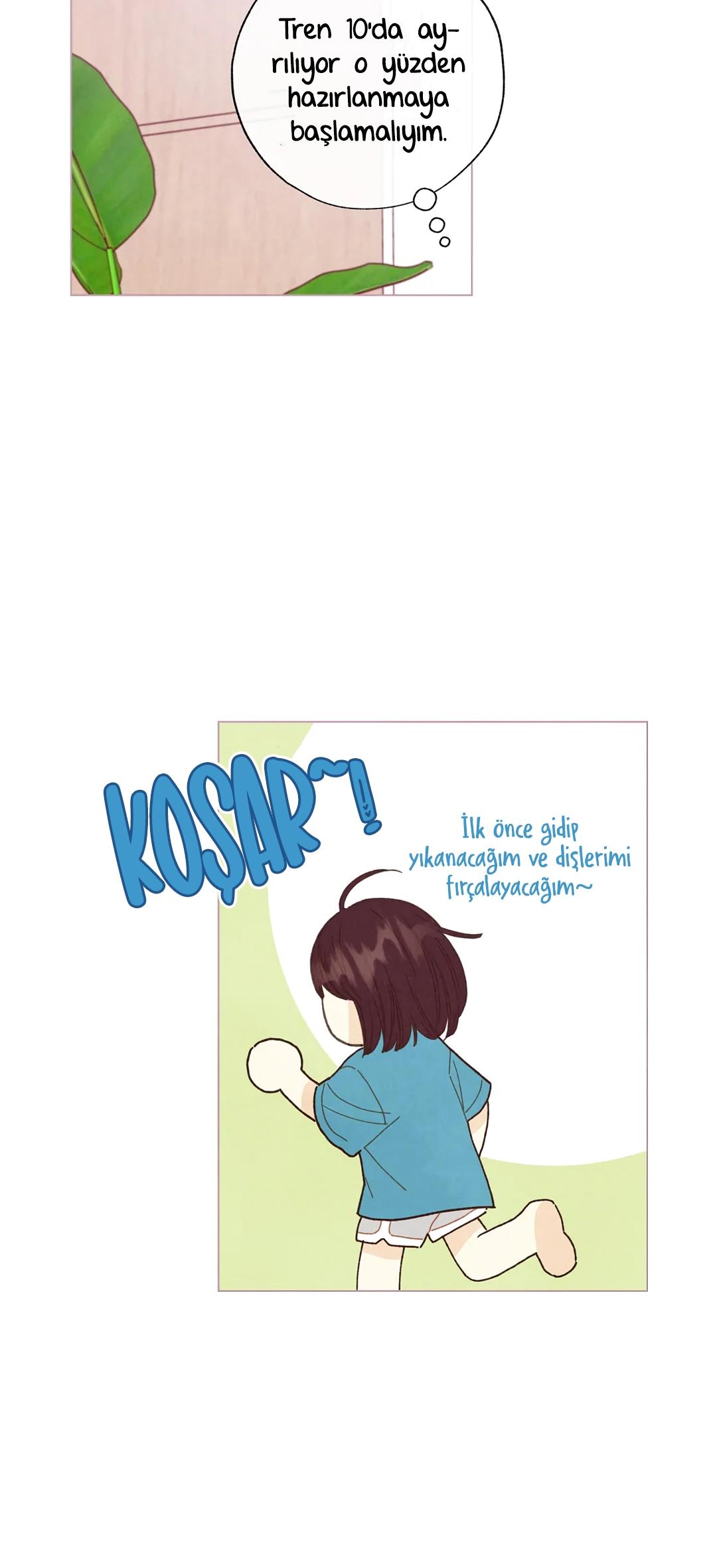 31-cm2xdfr0s0001tt82570od8ls