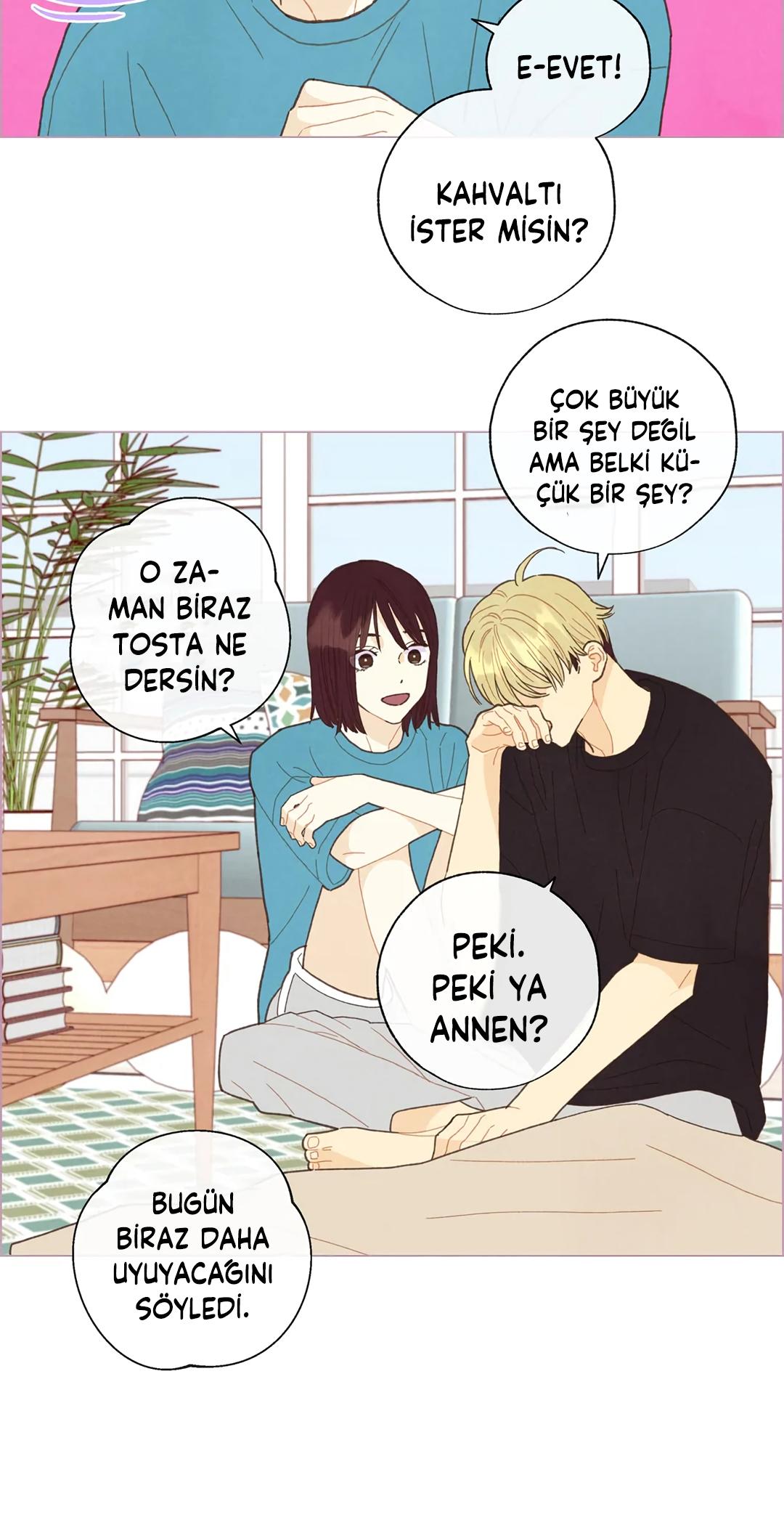 36-cm2xdfr0s0001tt82570od8ls