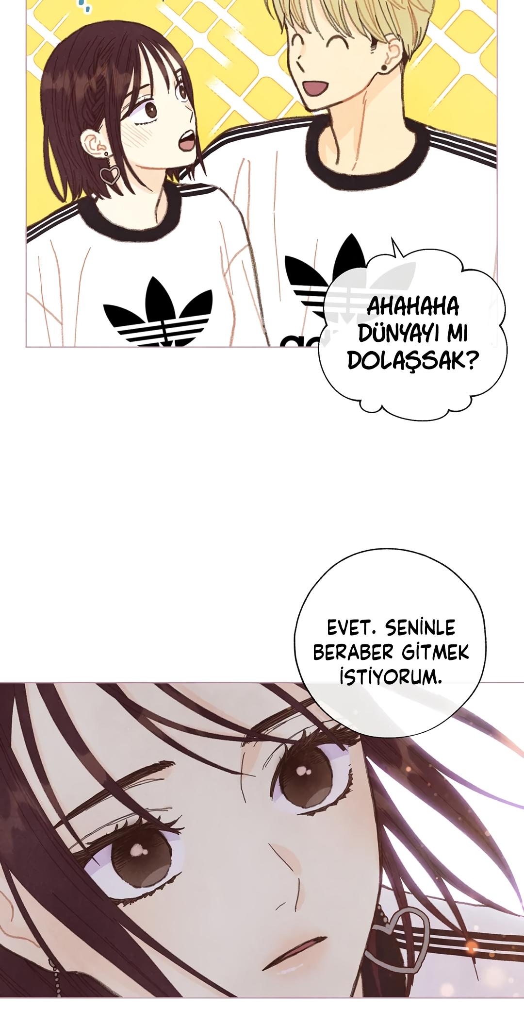 20-cm2xdfr0s0001tt82570od8ls