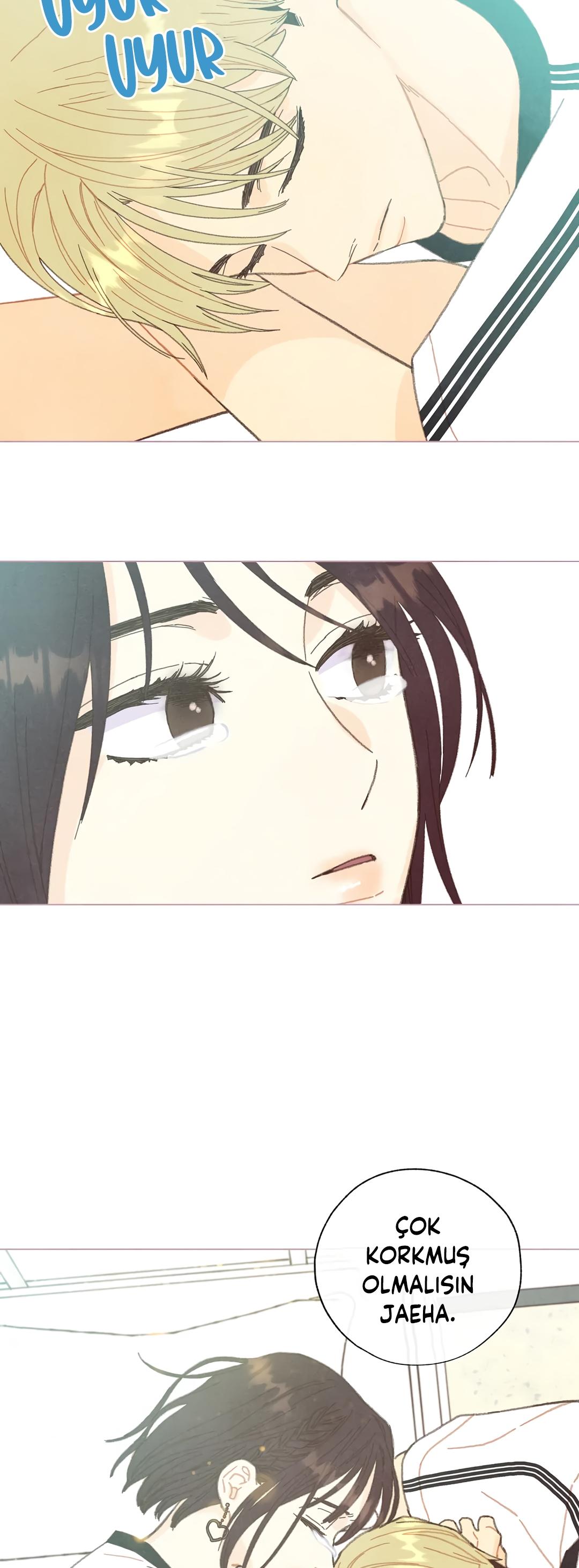 48-cm2xdfr0s0001tt82570od8ls