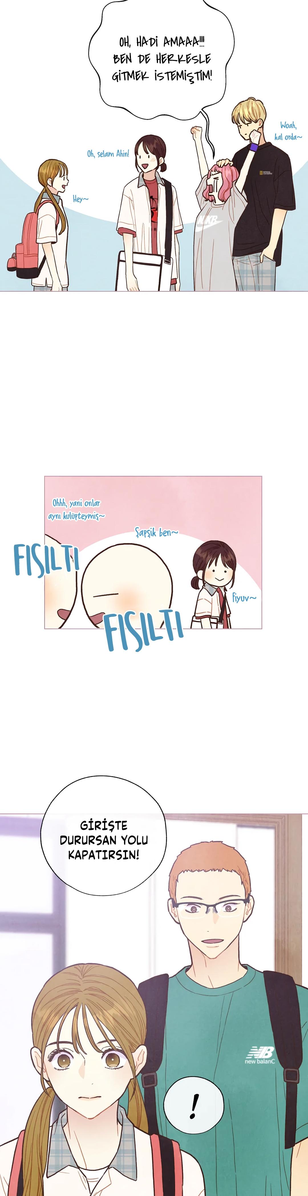 15-cm2xdfr0s0001tt82570od8ls