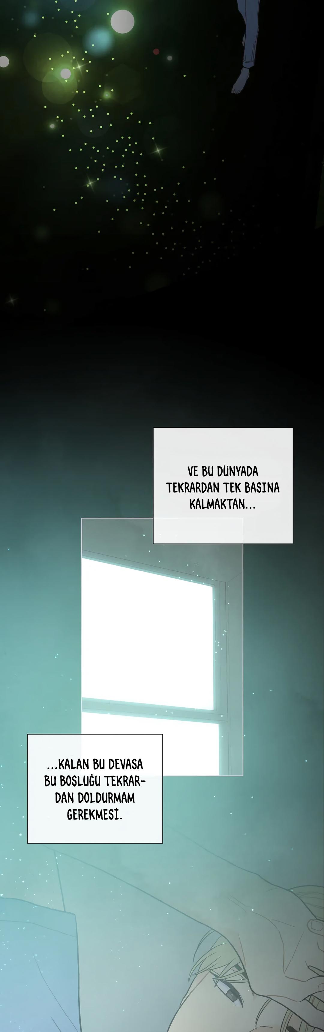 7-cm2xdfr0s0001tt82570od8ls
