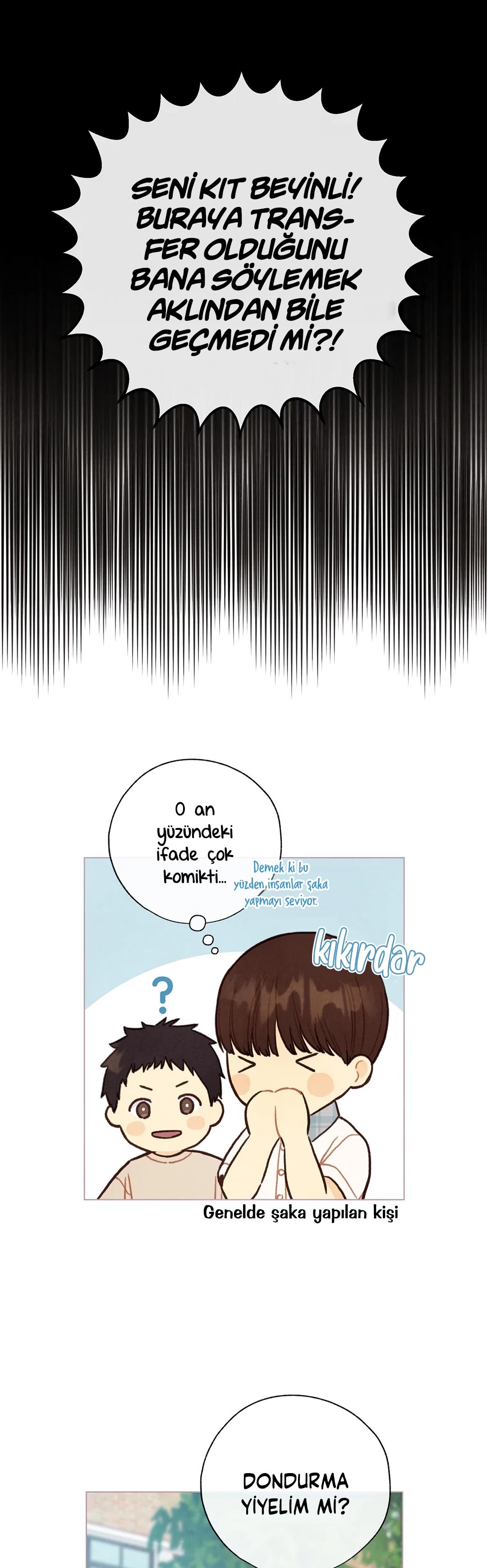 26-cm2xdfr0s0001tt82570od8ls