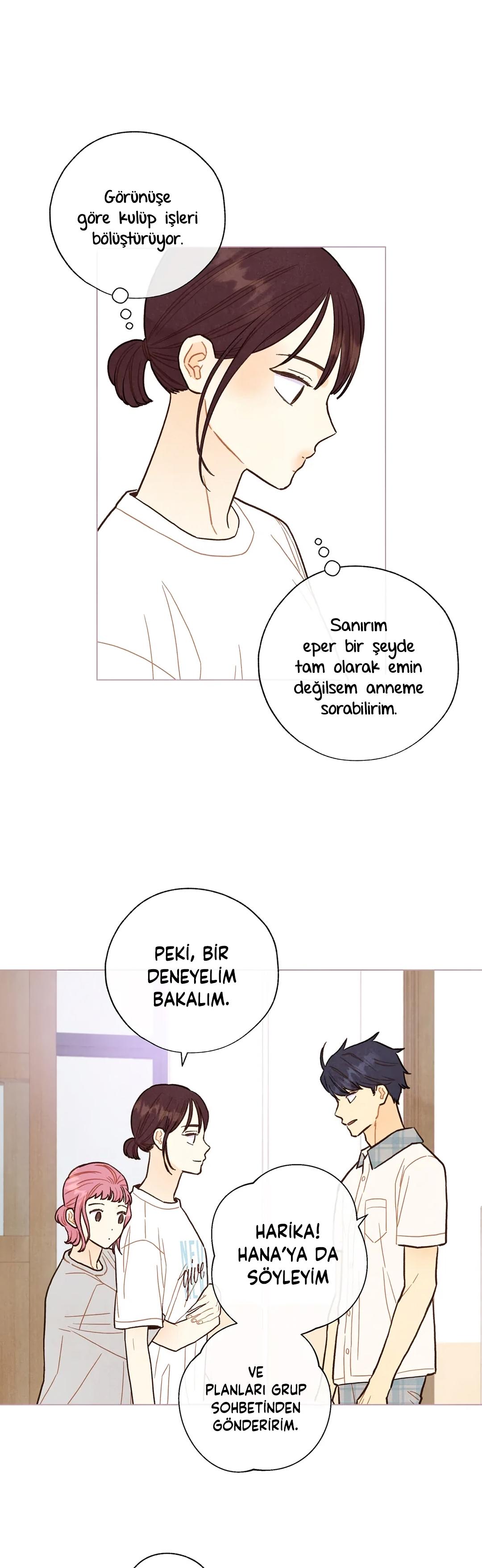 12-cm2xdfr0s0001tt82570od8ls