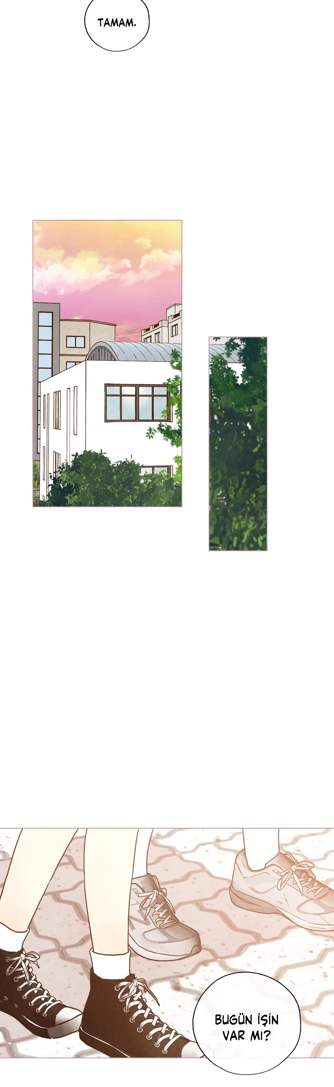 13-cm2xdfr0s0001tt82570od8ls