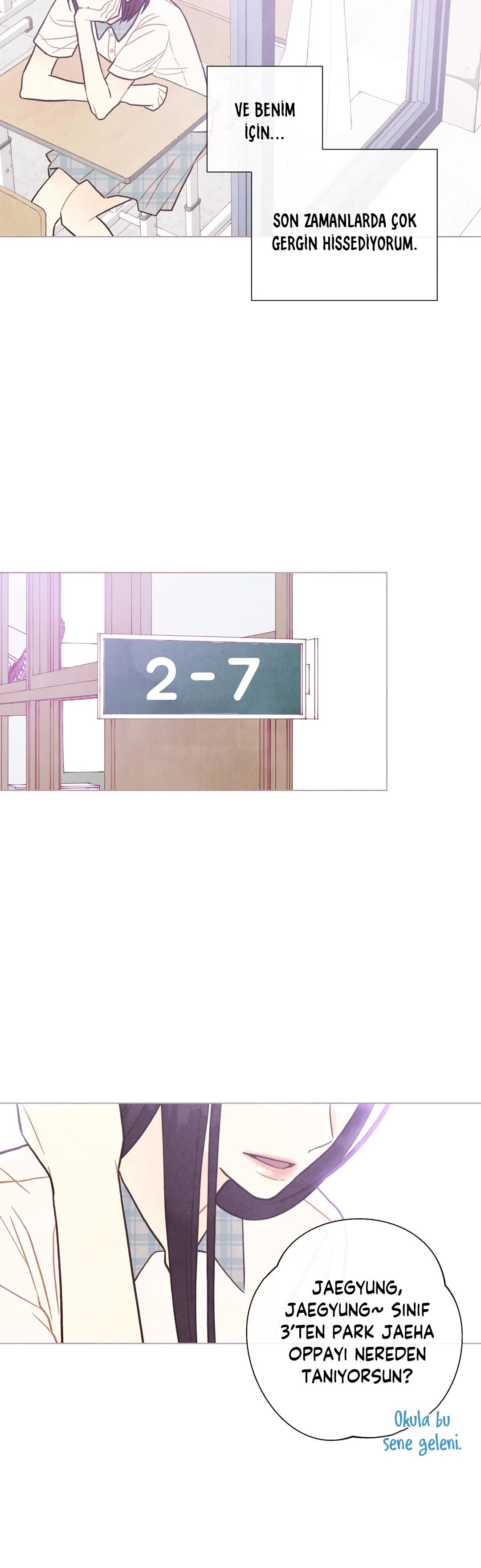 5-cm2xdfr0s0001tt82570od8ls