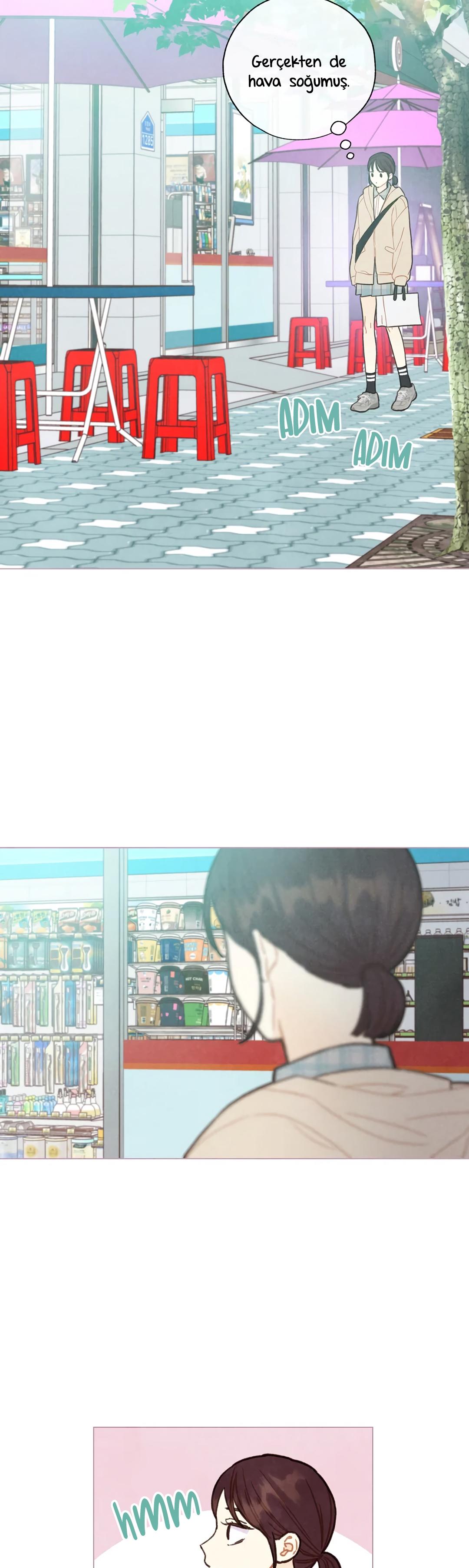 24-cm2xdfr0s0001tt82570od8ls