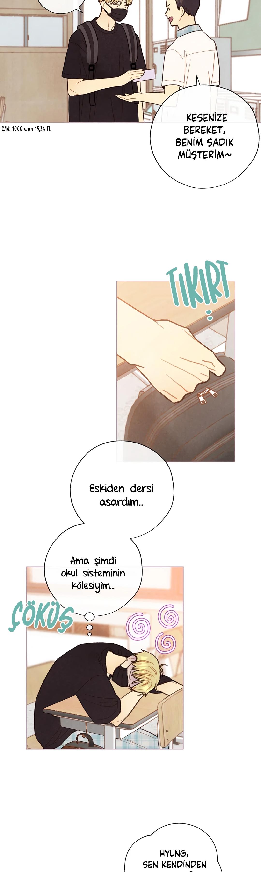 29-cm2xdfr0s0001tt82570od8ls