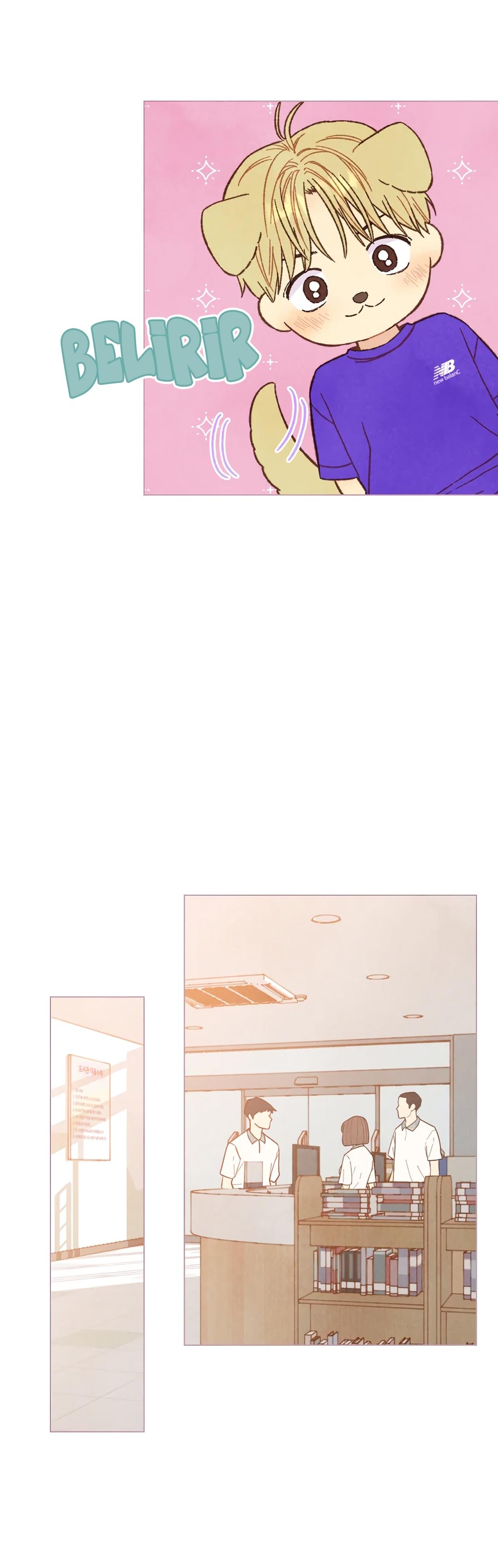 4-cm2xdfr0s0001tt82570od8ls