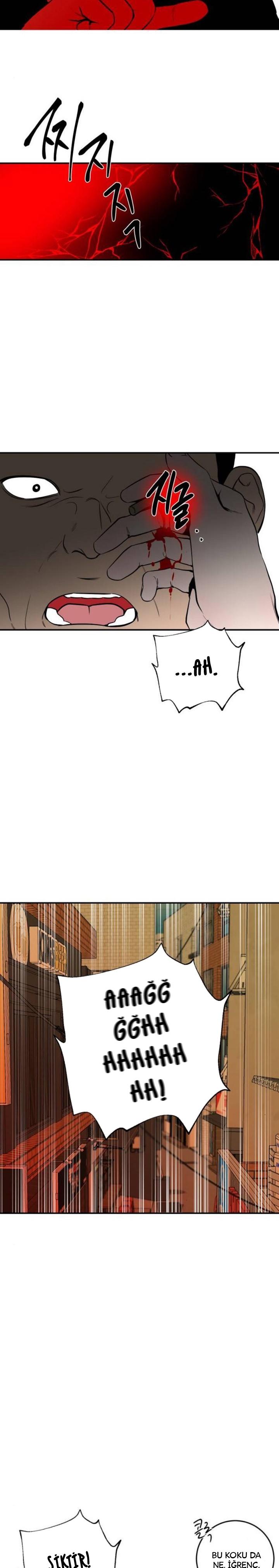 10-cm2xdfr0s0001tt82570od8ls
